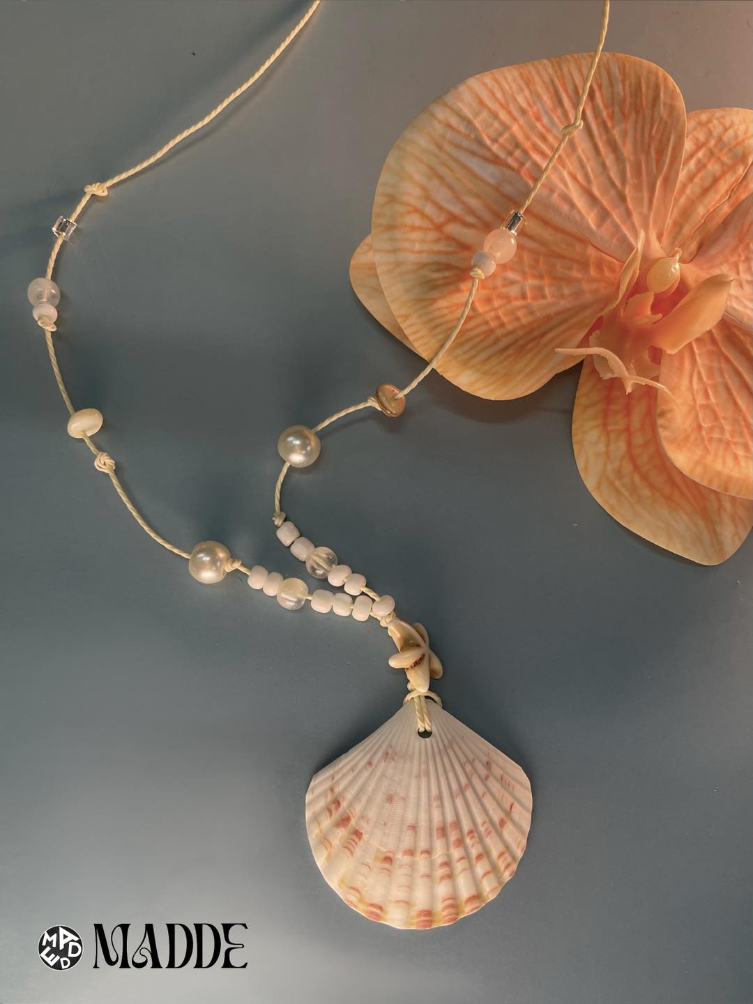 Seashell Dreams Collection