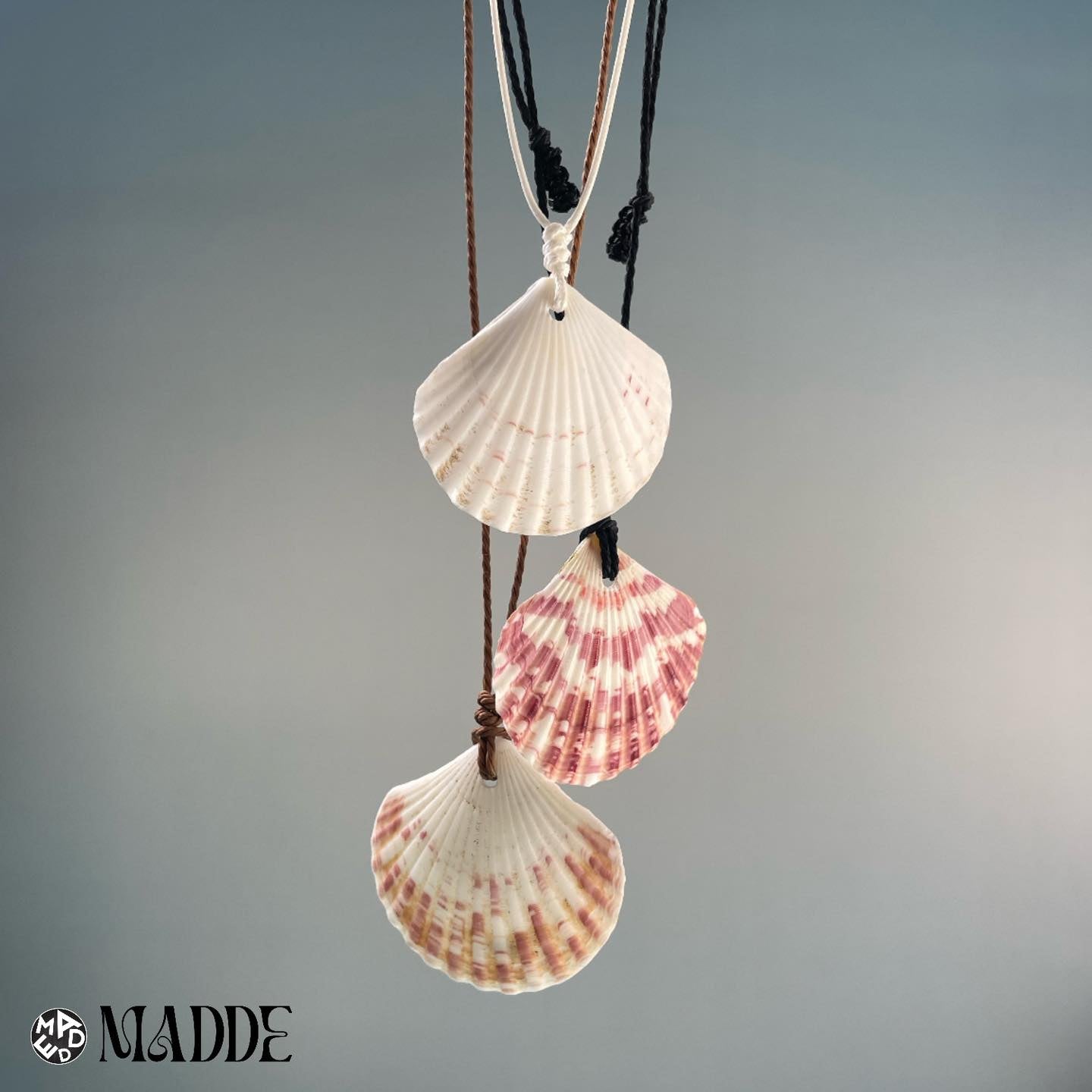 Seashell Dreams Collection