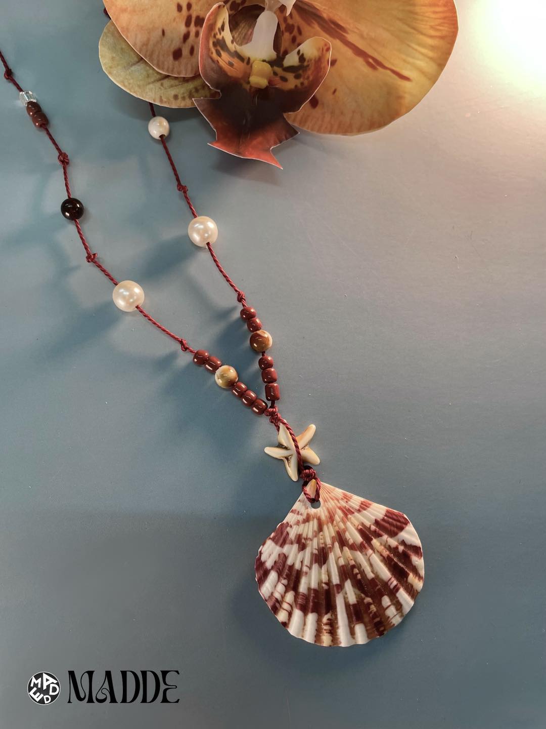 Seashell Dreams Collection