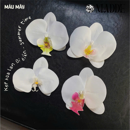 Summer Time - White Orchid