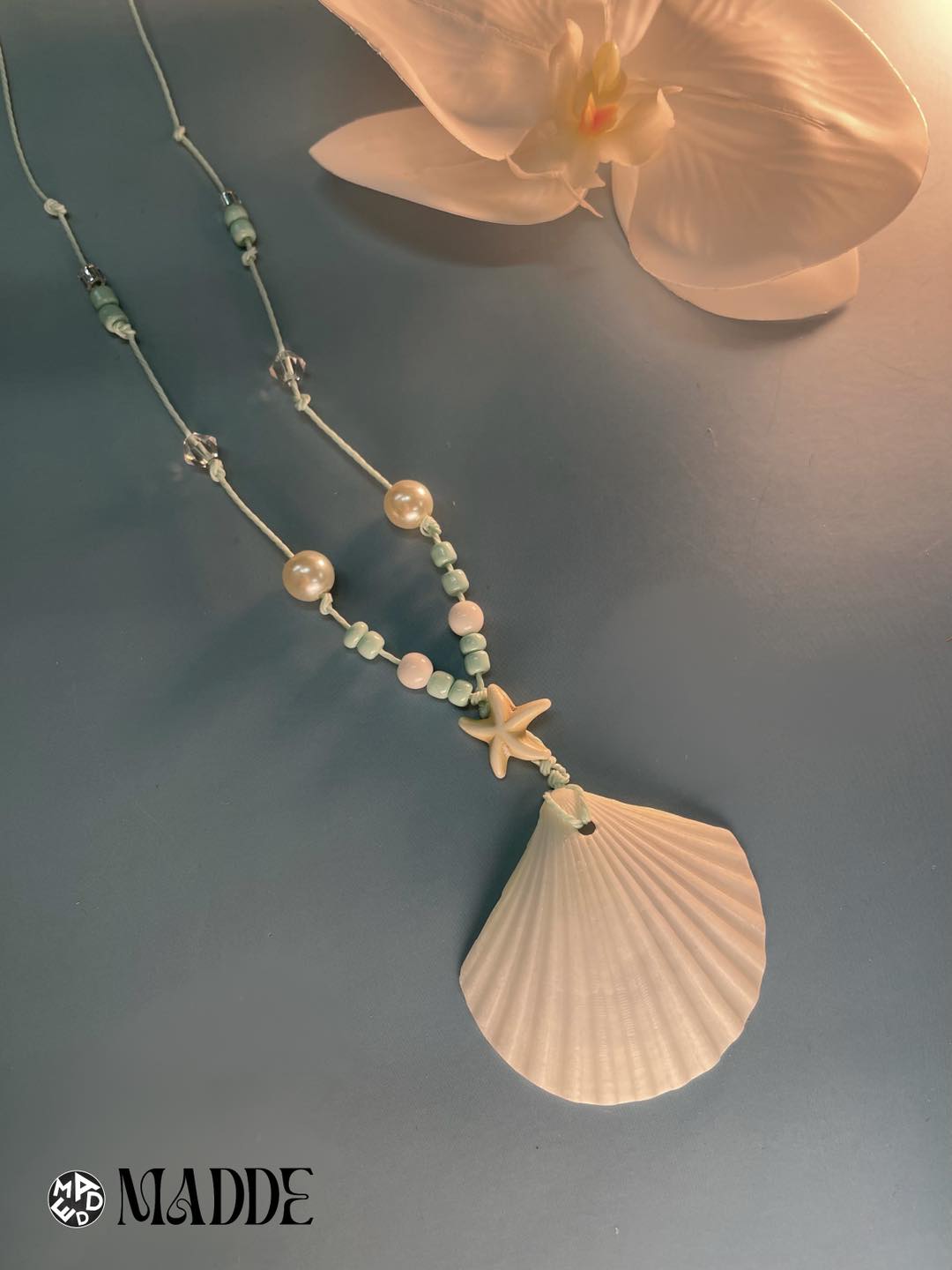 Seashell Dreams Collection